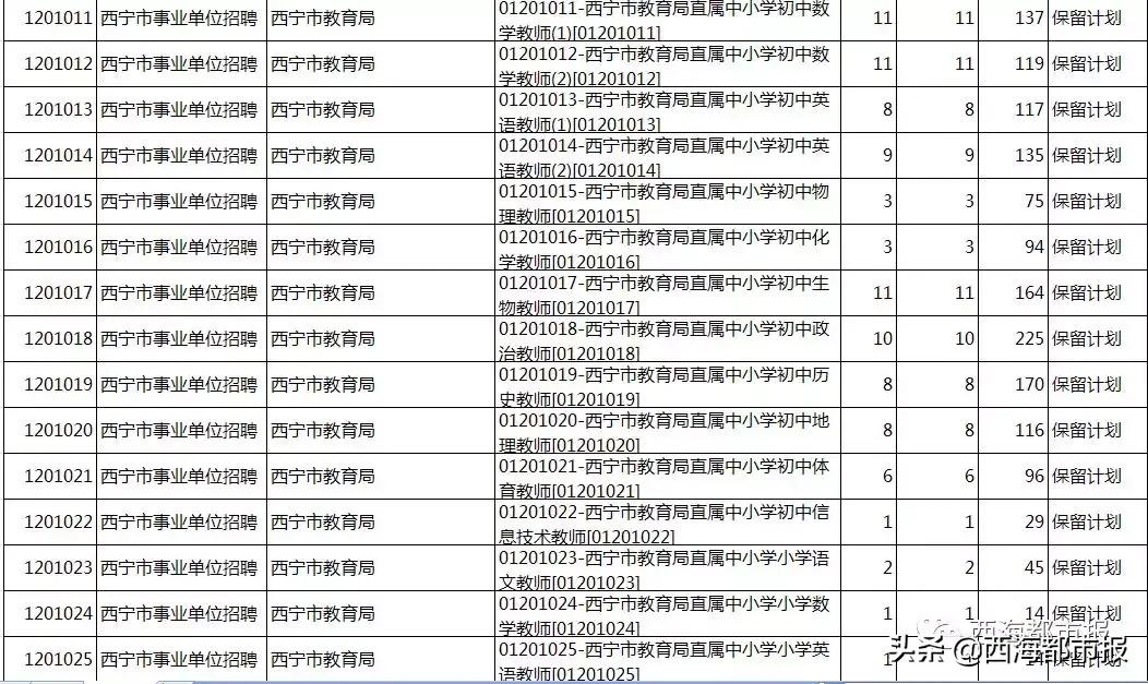 青海最新招聘信息全面解析