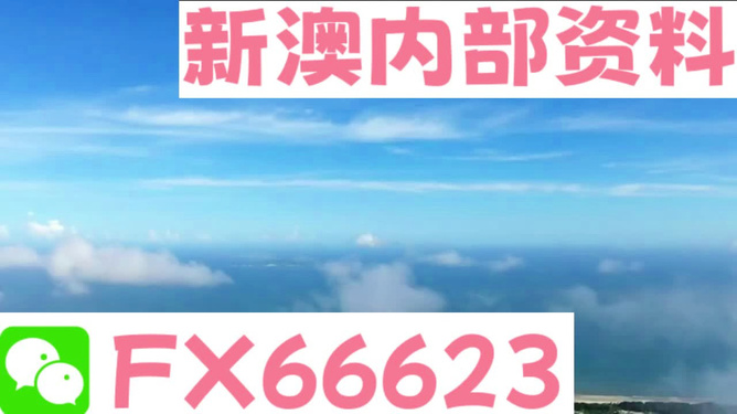 新澳2024年最新版资料,准确资料解释落实_极速版39.78.58