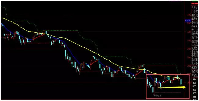 澳门三期必内必中一期,广泛的解释落实支持计划_工具版6.166