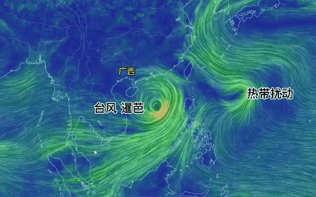 漯河事件最新动态全面解析