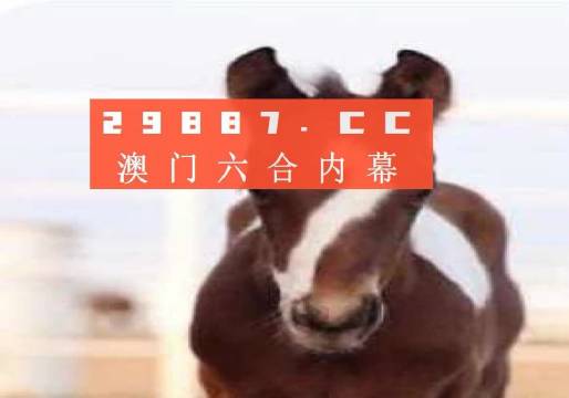 澳门一码100%准确,最新答案解释落实_入门版2.362