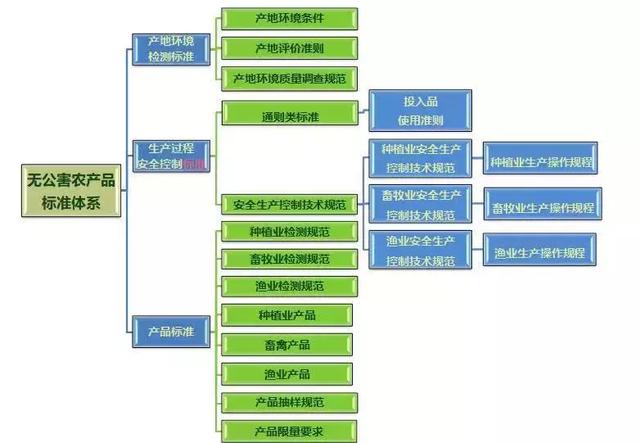 新奥免费资料全年公开,完善的执行机制解析_豪华版180.300