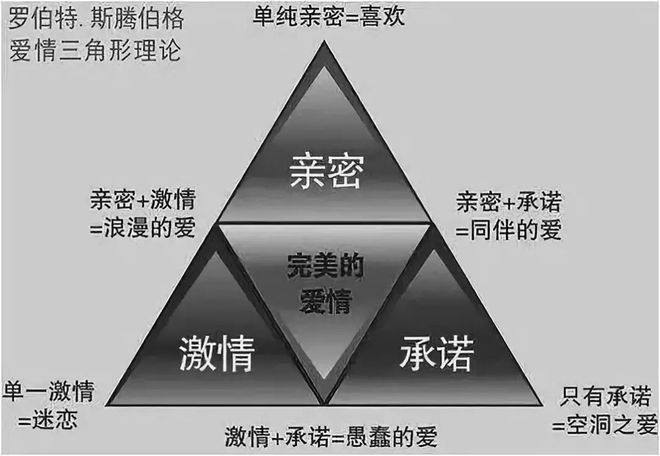 新澳门天天开奖资料大全,理论依据解释定义_7DM95.693