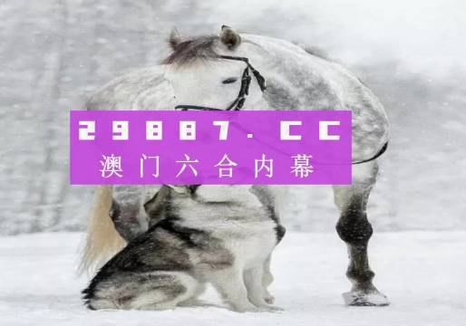 7777788888新版跑狗,实效解读性策略_XE版34.849