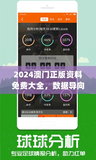 2024新澳今晚开奖号码139,数据说明解析_V13.547