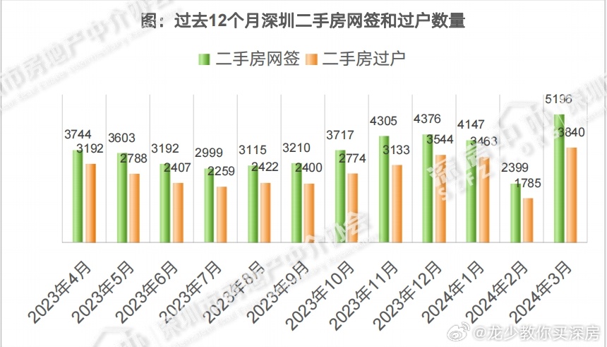 一肖一码一一肖一子深圳,实地数据执行分析_探索版60.846