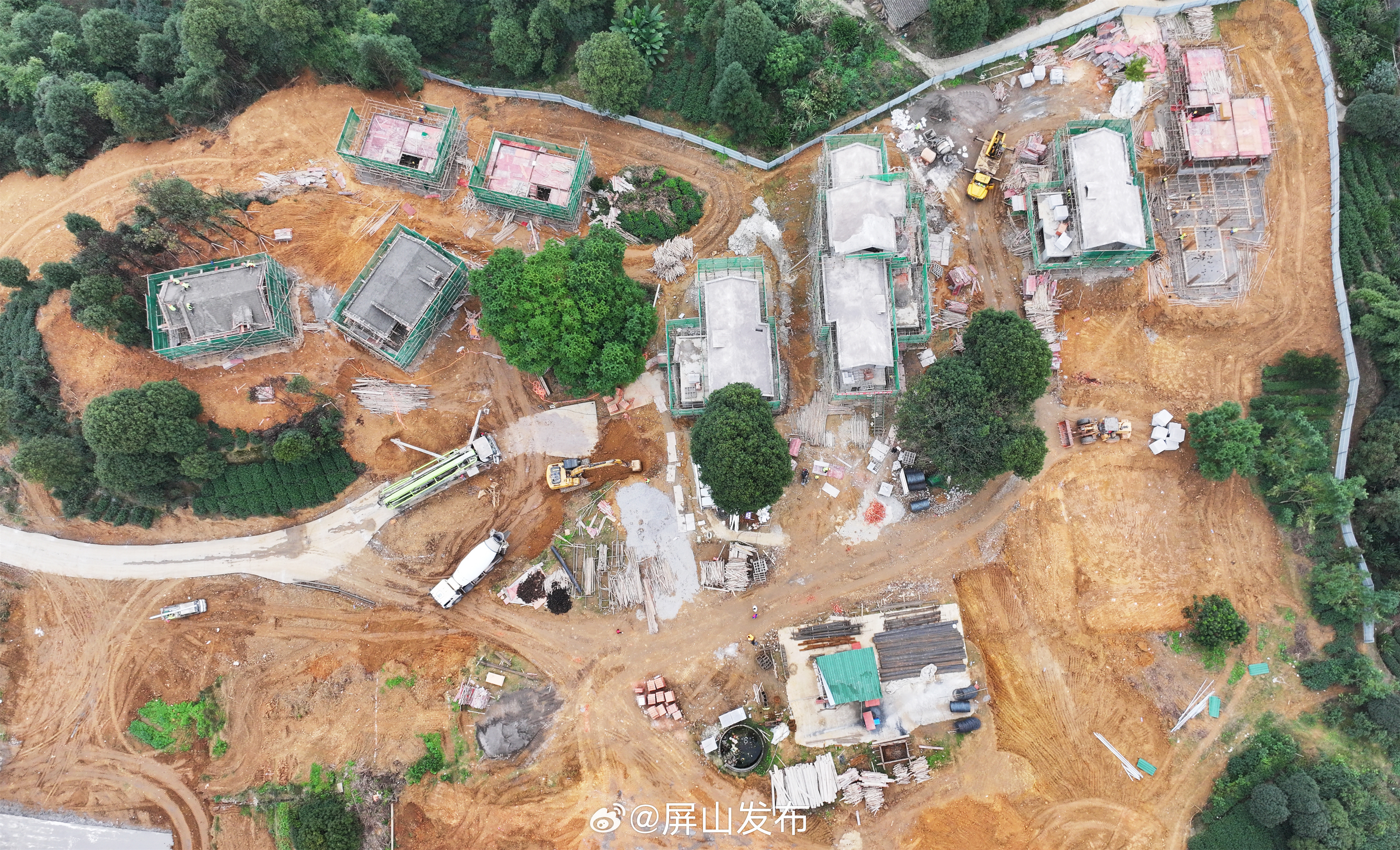 寺林山村委会乡村振兴与绿色发展融合实践项目启动