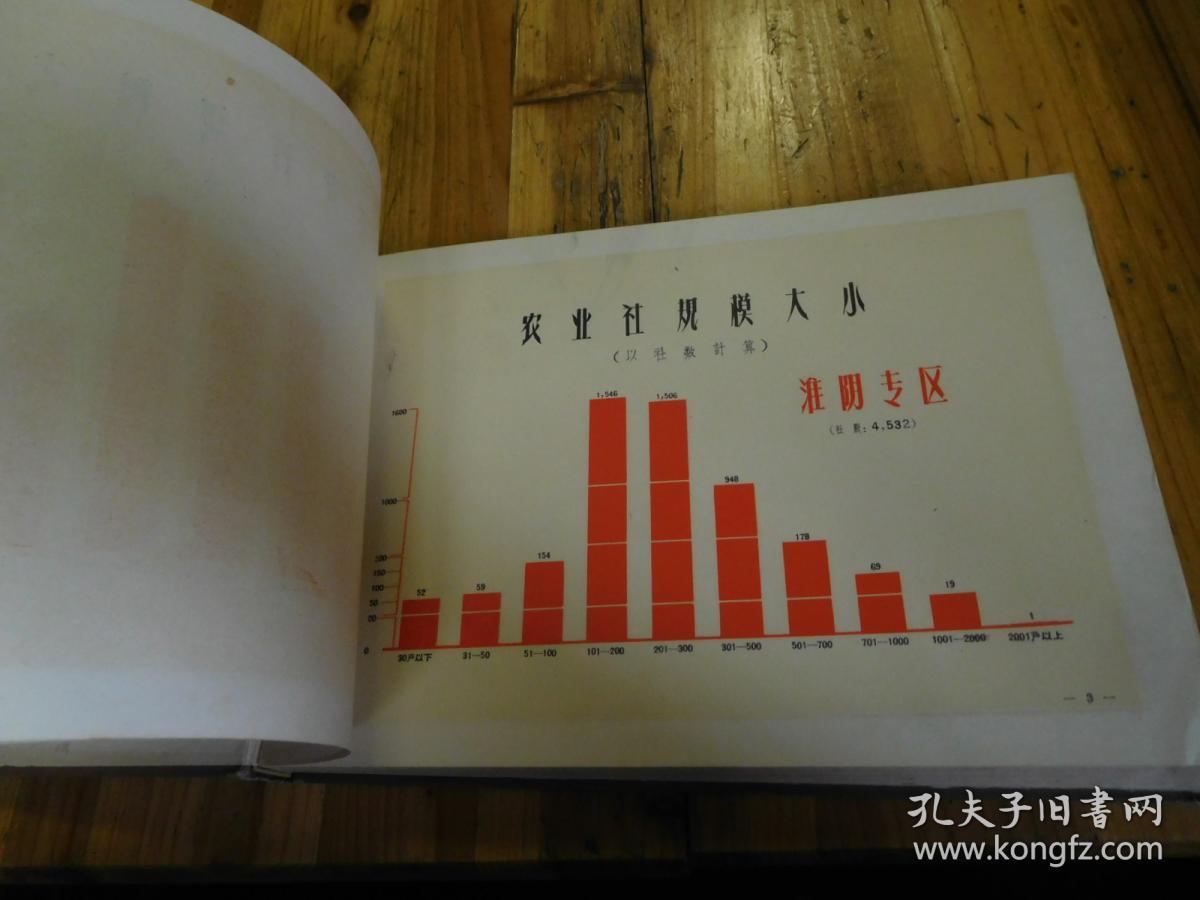 红姐统一图库大全资料,准确资料解释落实_复古款87.55.10