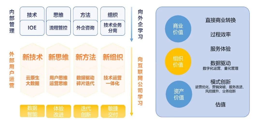 一季花落 第3页