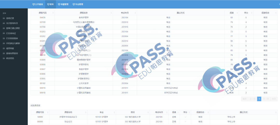 新奥码开奖结果查询,精准分析实施_黄金版80.285