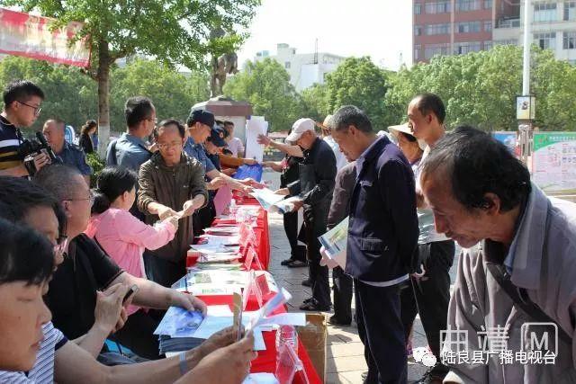 陆良县小学领导团队重塑未来教育篇章