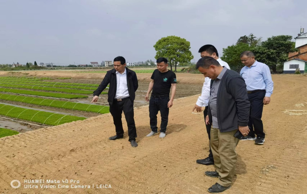 新建县农业农村局新项目推动农业现代化，乡村振兴再添新动力