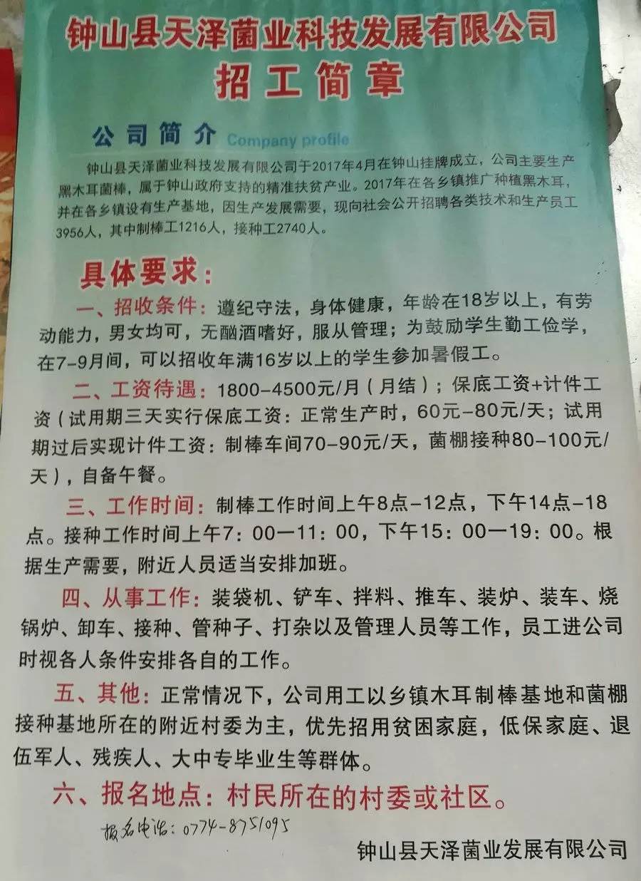 三间房镇最新招聘信息详解及解读