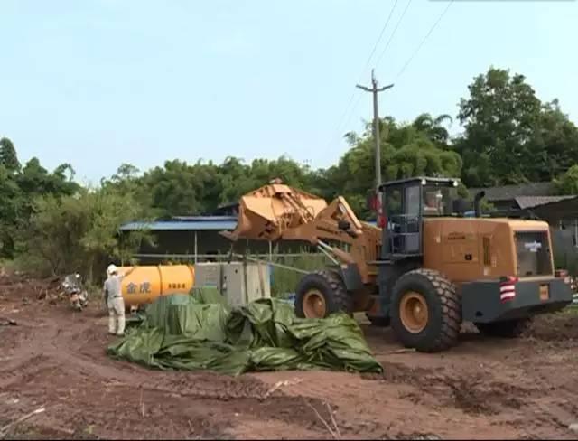 峨山彝族自治县公路运输管理事业单位招聘启事概览