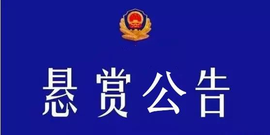 Fc爷丿专属 第2页