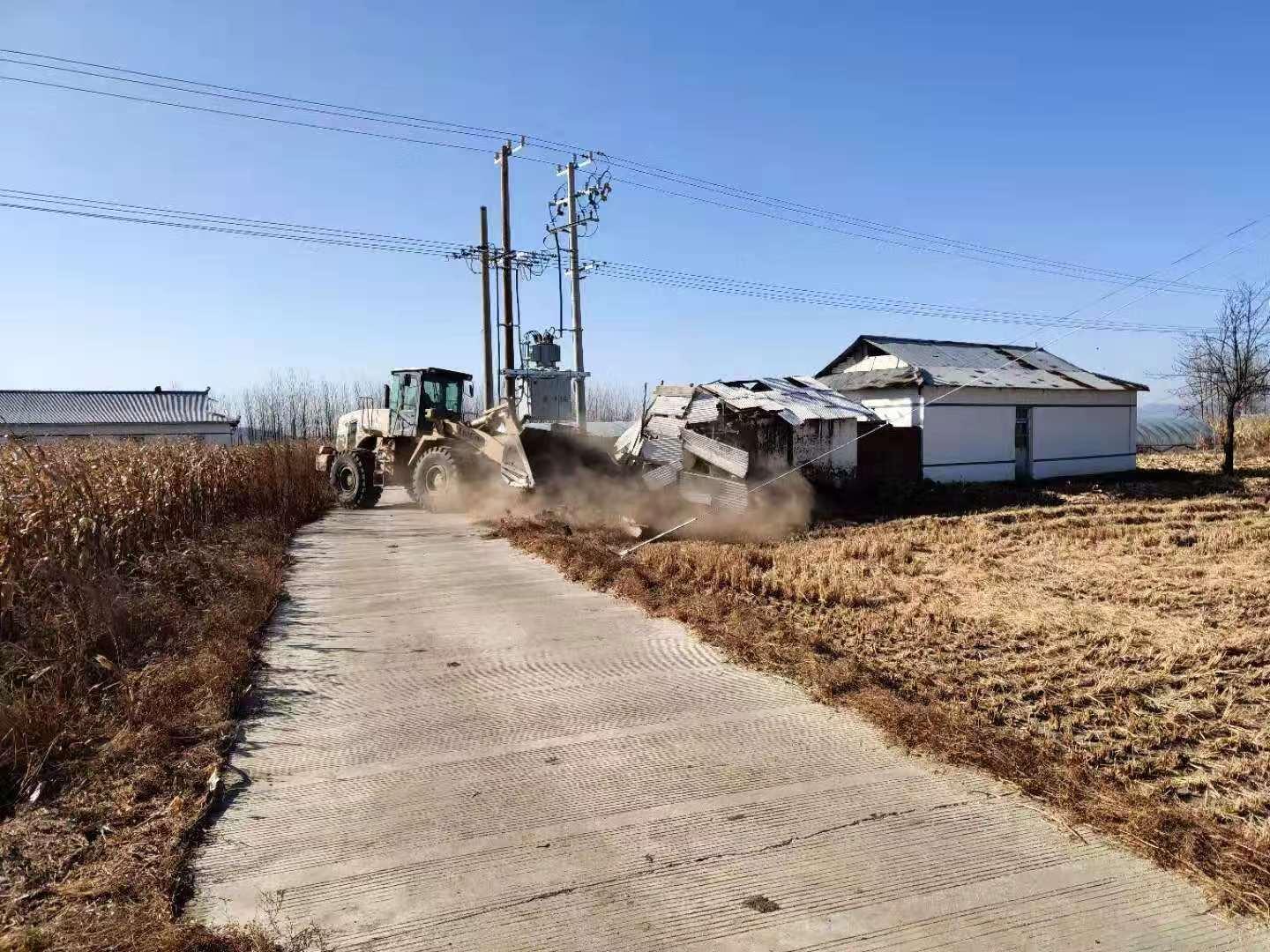 冬天的雪花 第2页