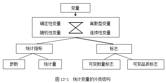 新澳门正版免费大全,统计分析解释定义_OP44.510