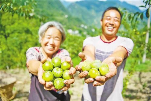 徐家村委会新项目启动，振兴乡村，共筑美好未来