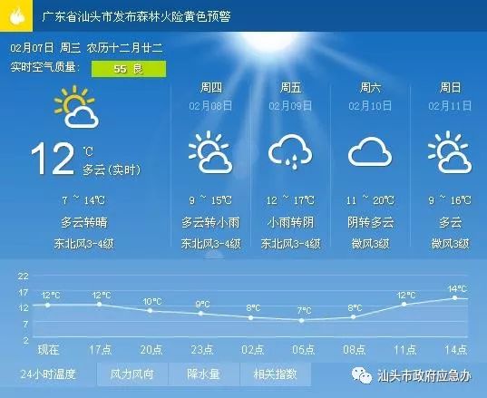 大通街道最新天气预报详解