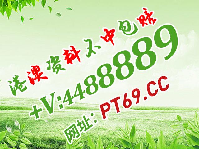 红姐资料统一大全,效率资料解释落实_户外版2.632