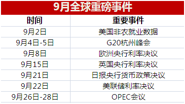 新澳门今晚精准一肖,数据资料解释落实_标准版90.65.32