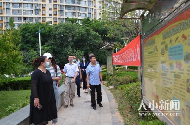 黄海街道最新发展规划，塑造未来城市蓝图