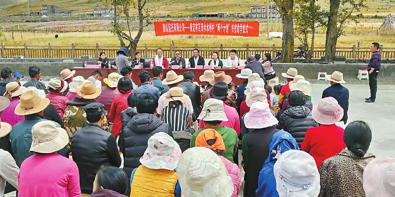 川西营村最新动态报道