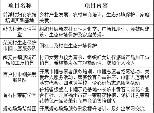 十二村最新发展规划，迈向更广阔的未来