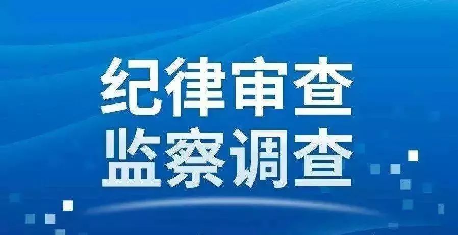 利发盛镇最新领导团队，引领未来，铸就辉煌