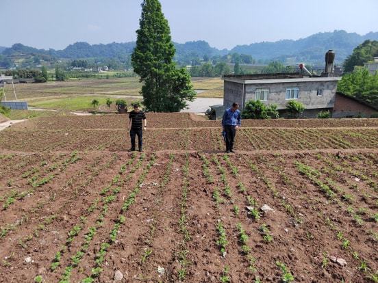 城中区农业农村局最新项目，推动农业现代化与乡村振兴