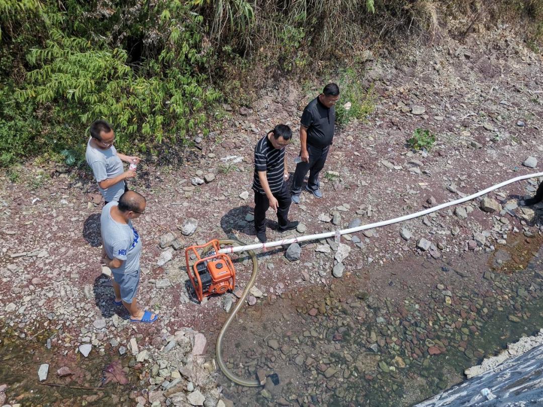 龙山县自然资源和规划局最新项目概览与动态