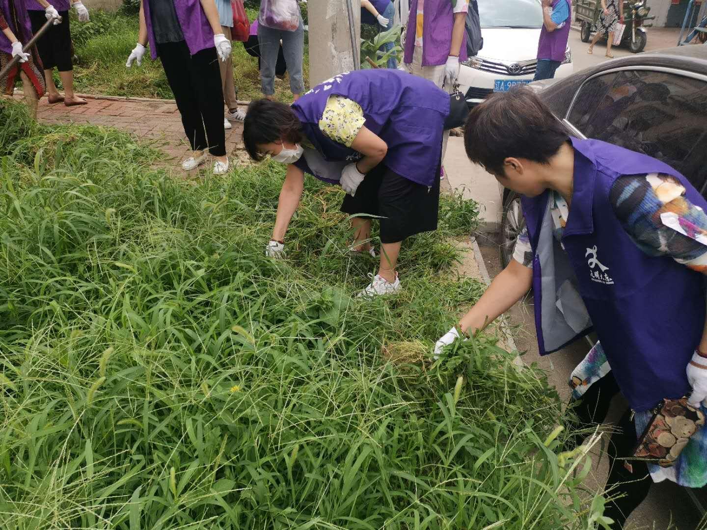 大东街道最新动态报道