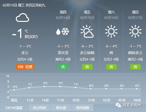 2024年12月24日 第13页