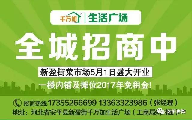 沛县人力资源和社会保障局最新招聘信息全面解析