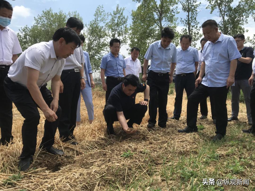 黄台岗镇未来繁荣蓝图，最新发展规划揭秘