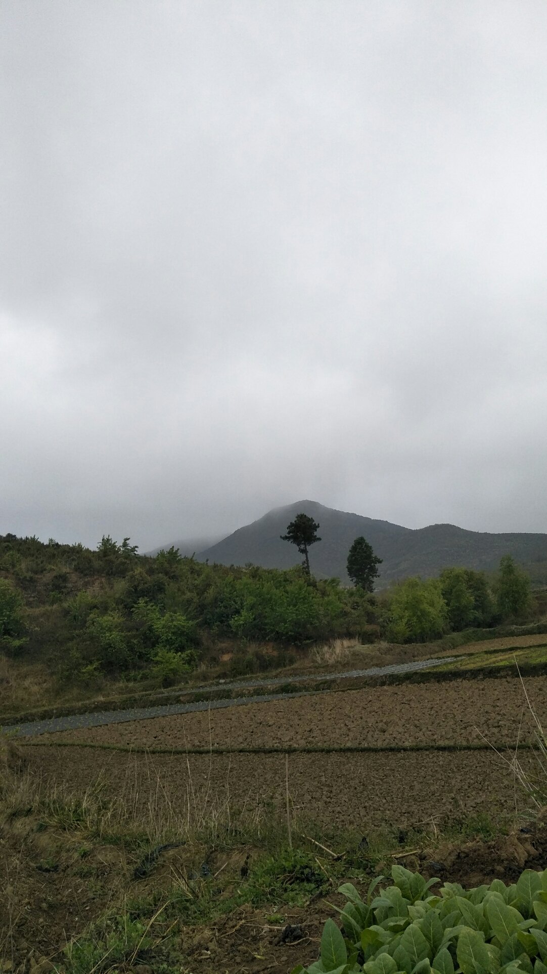 岩榴村天气预报更新通知