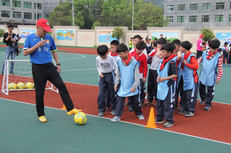 苍南县小学最新动态报道