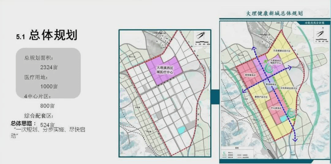 安国市医疗保障局最新发展规划概览