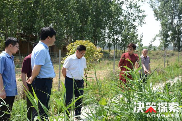 袁店乡新项目启动，引领乡村发展新征程