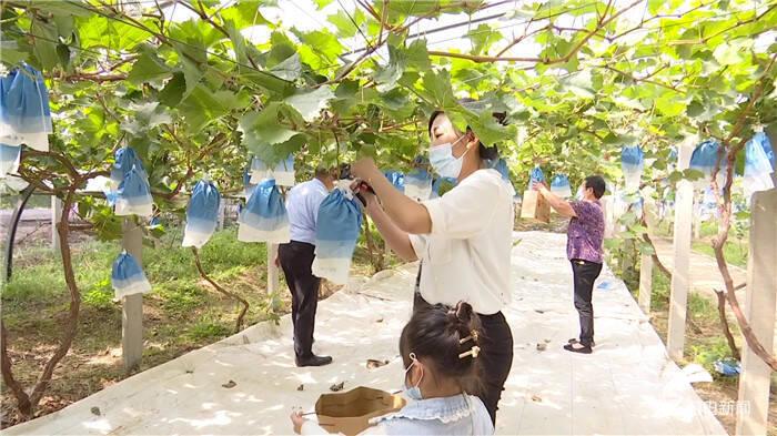 红十月农场最新动态报道