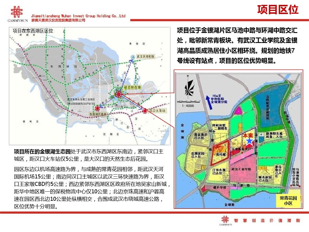 马鼻镇最新发展规划